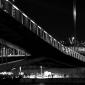 CRW_7833-01