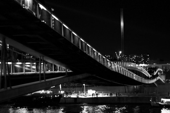 CRW_7833-01