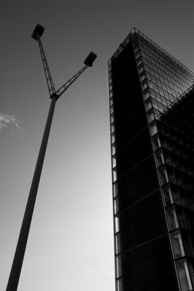 BNF1