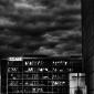 IMG_3236-02