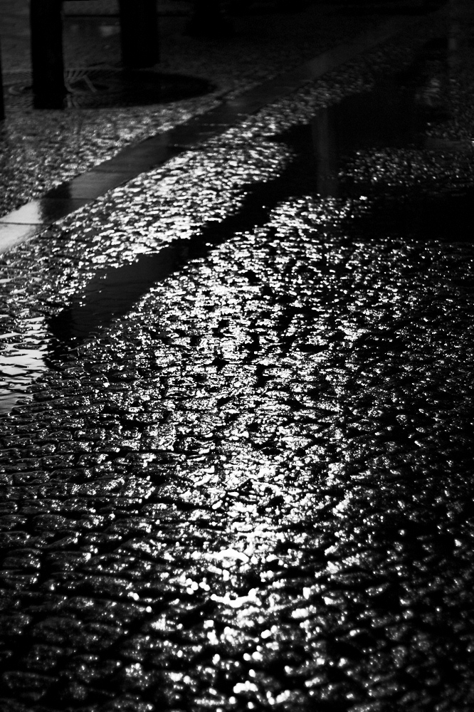 CRW_9852-01