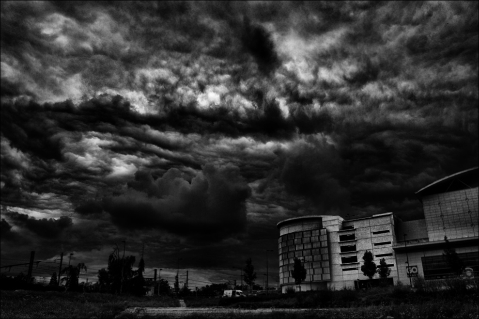 IMG_2353-01